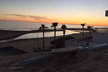 Agaves Sunset